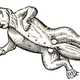 Illustration for article titled How Europeans Imagined Exotic Animals Centuries Ago, Based on Hearsay